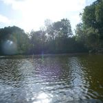 Bucholz-Müritz-Priborn-Im-Langen-Ort-Nebel-Langhagensee-131