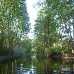 Bucholz-Müritz-Priborn-Im-Langen-Ort-Nebel-Langhagensee-134