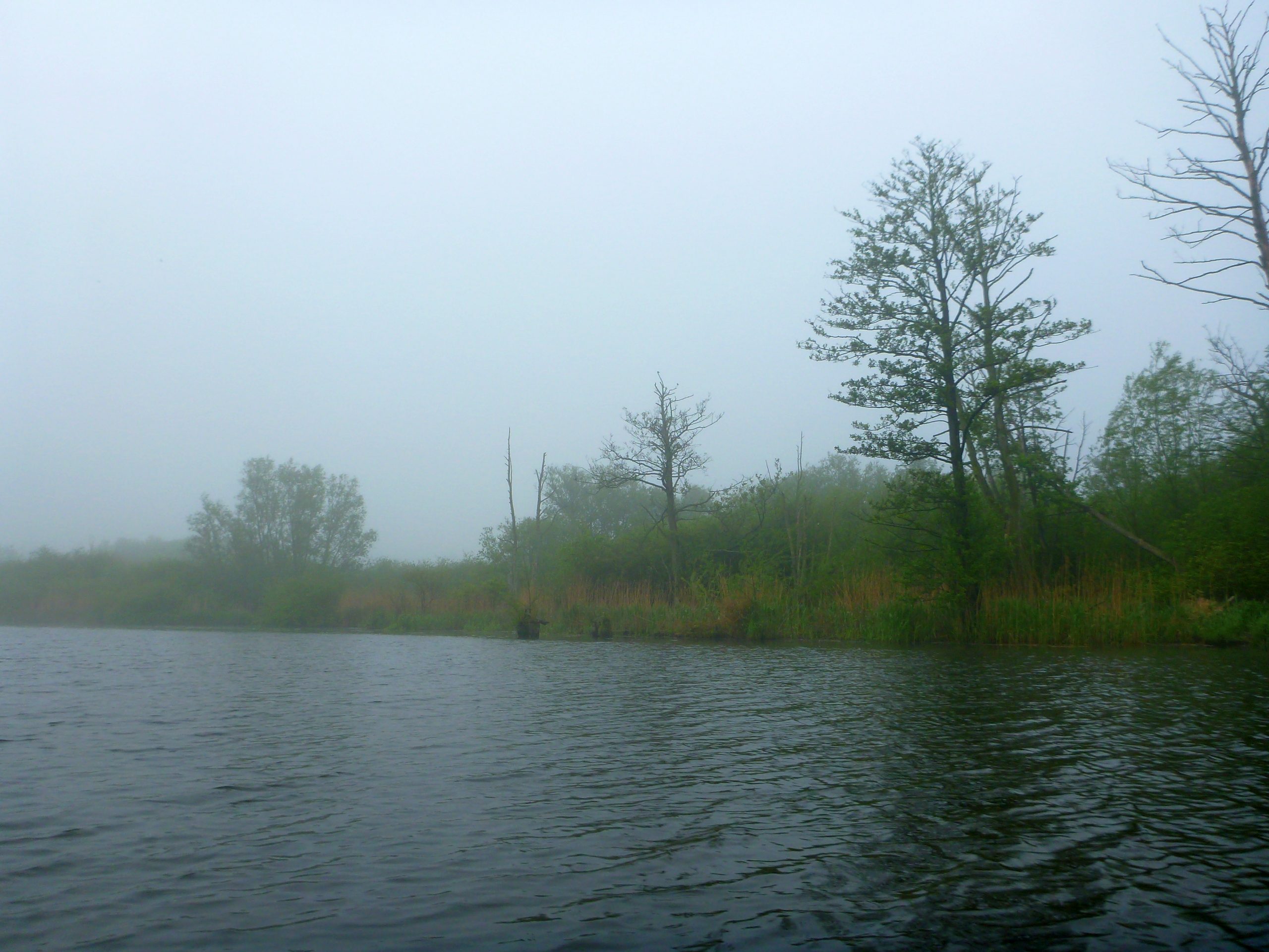 Demmin-Peene-Loitz-017