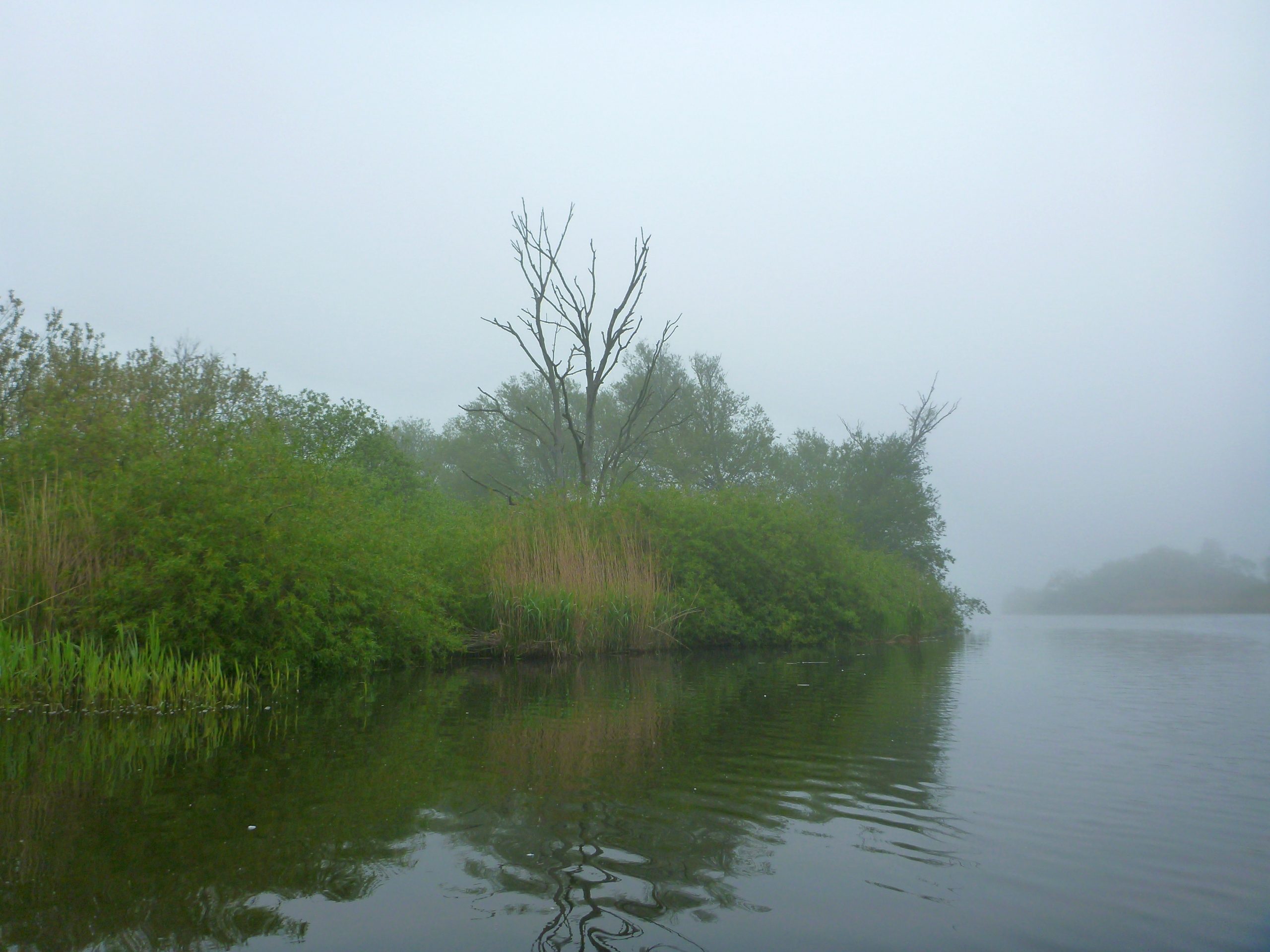 Demmin-Peene-Loitz-020