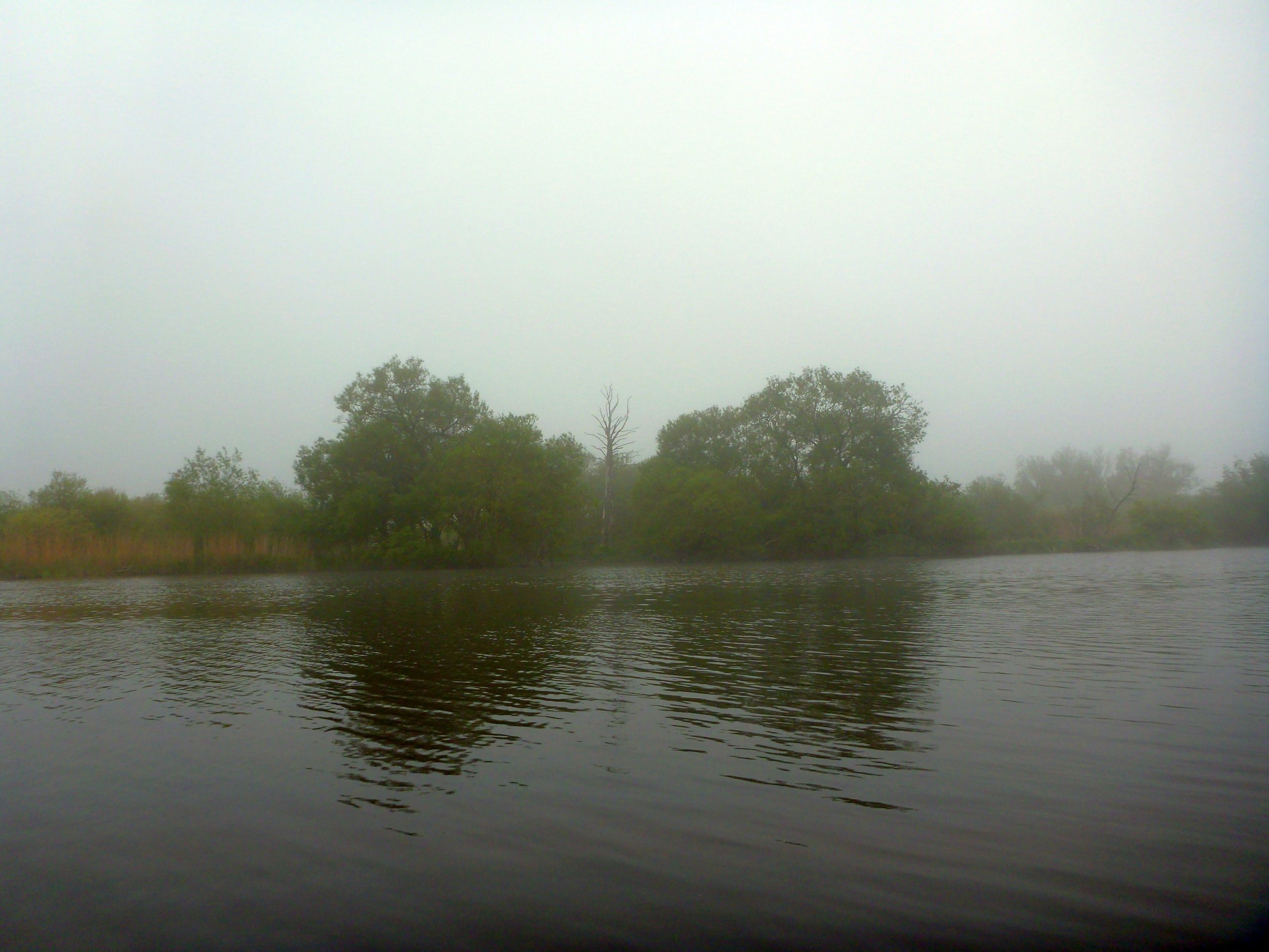 Demmin-Peene-Loitz-022