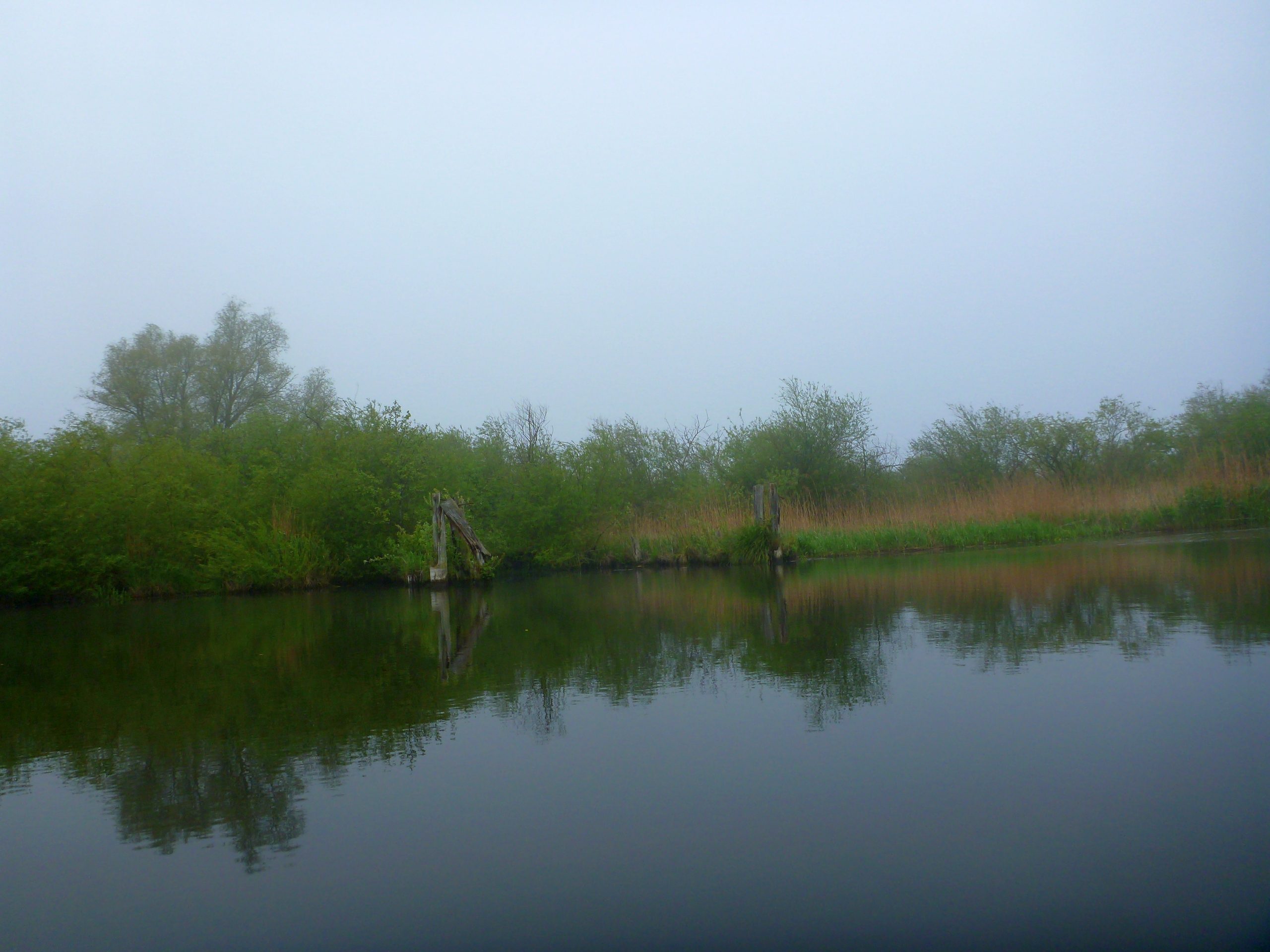 Demmin-Peene-Loitz-027