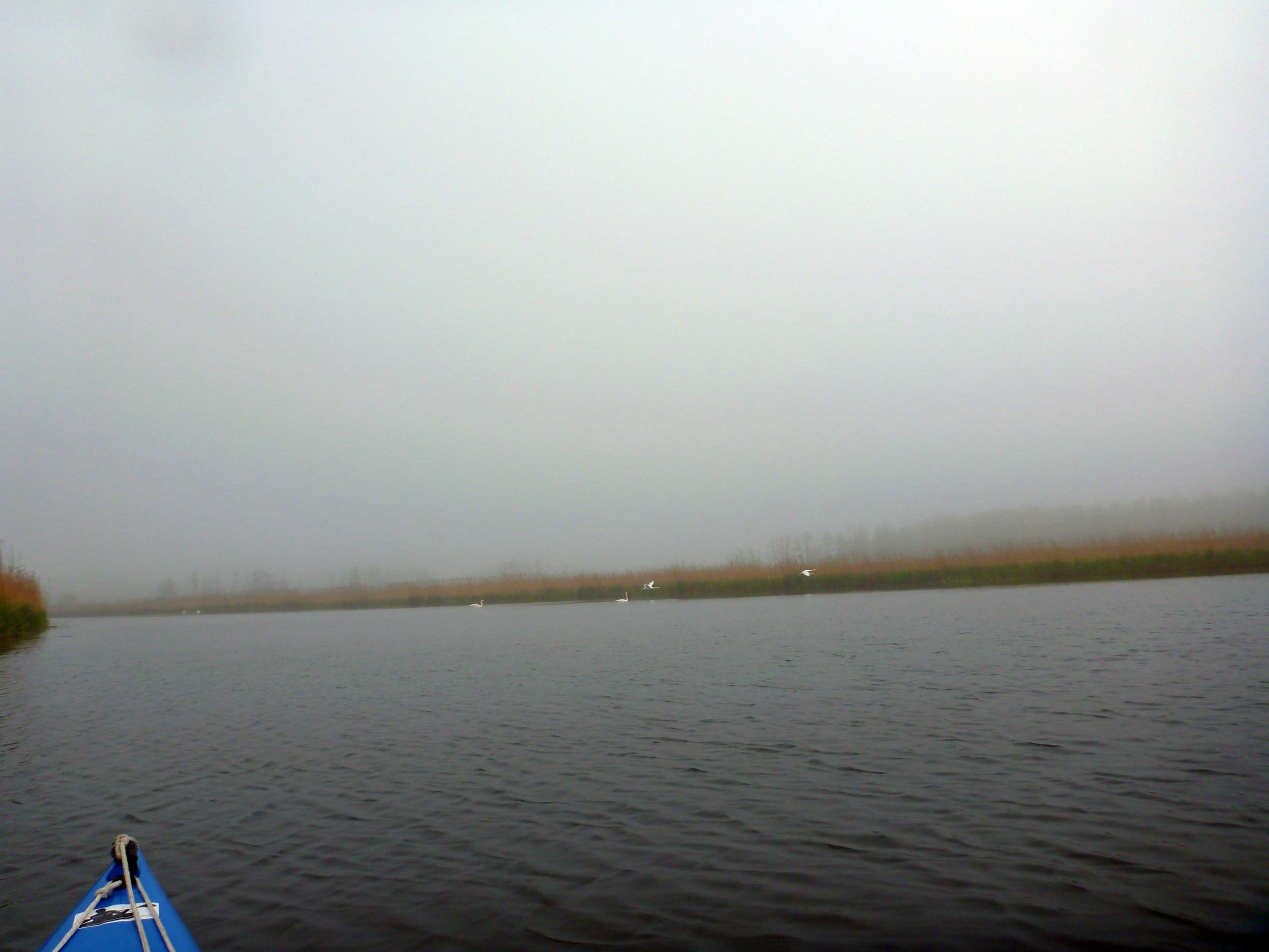 Demmin-Peene-Loitz-030