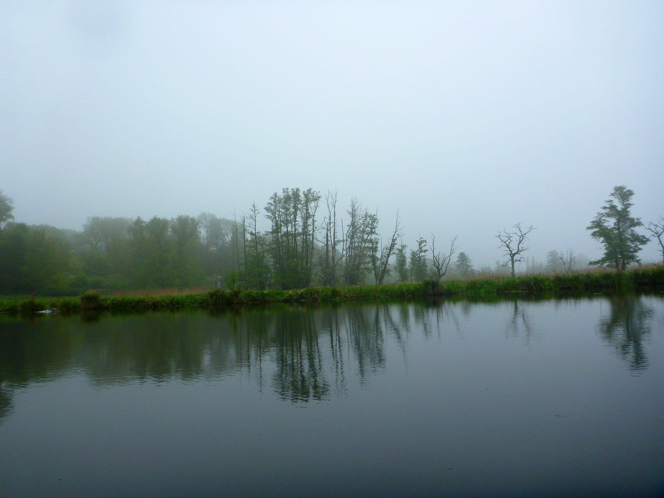 Demmin-Peene-Loitz-033