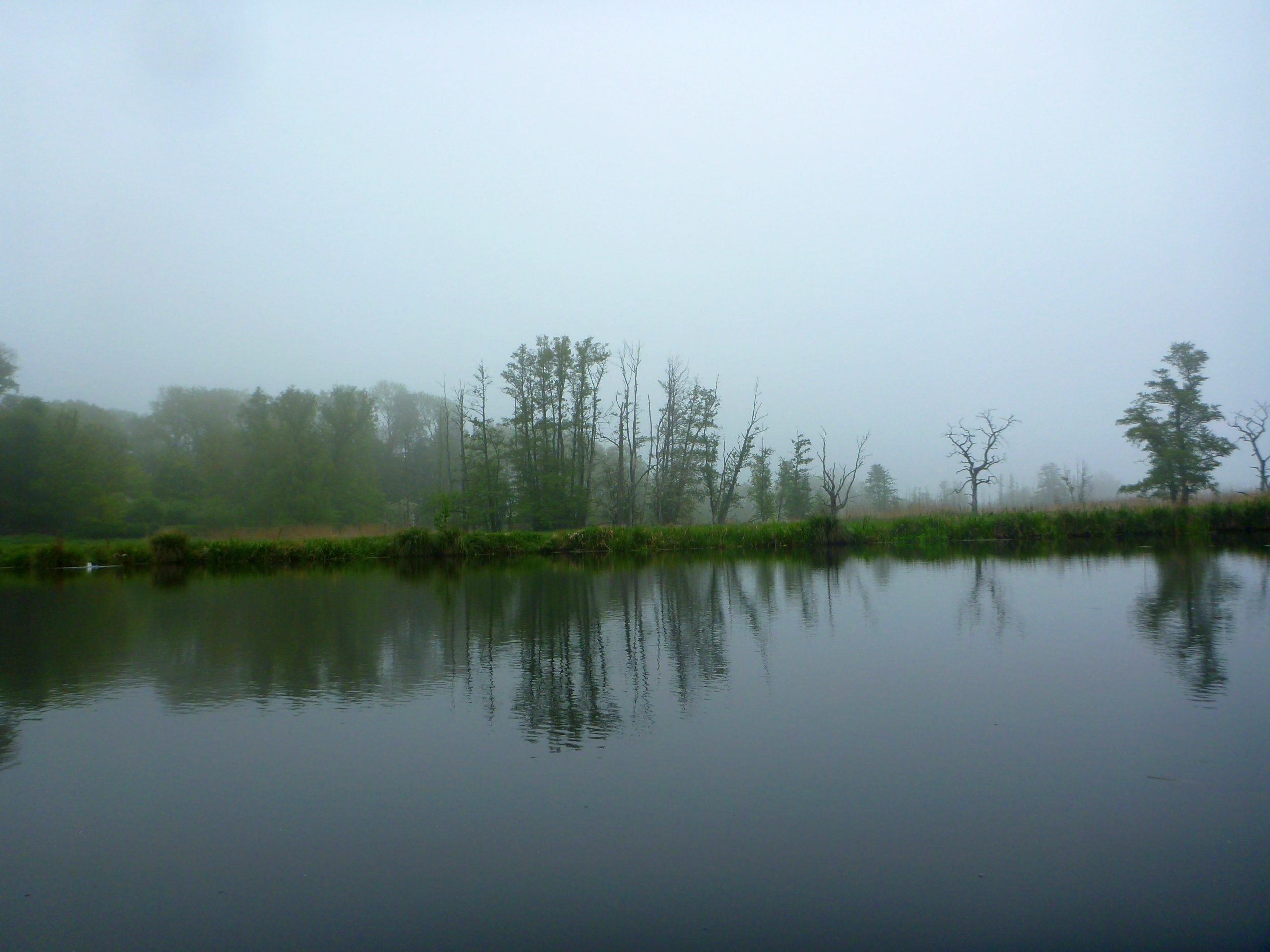 Demmin-Peene-Loitz-034