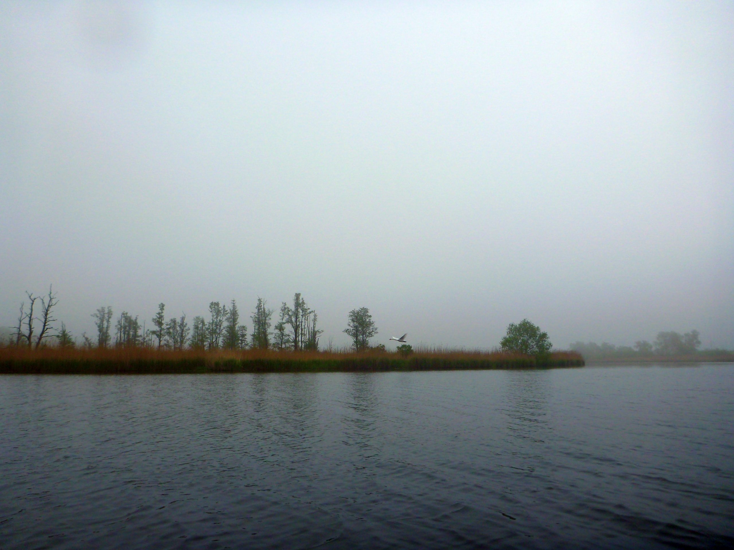 Demmin-Peene-Loitz-038