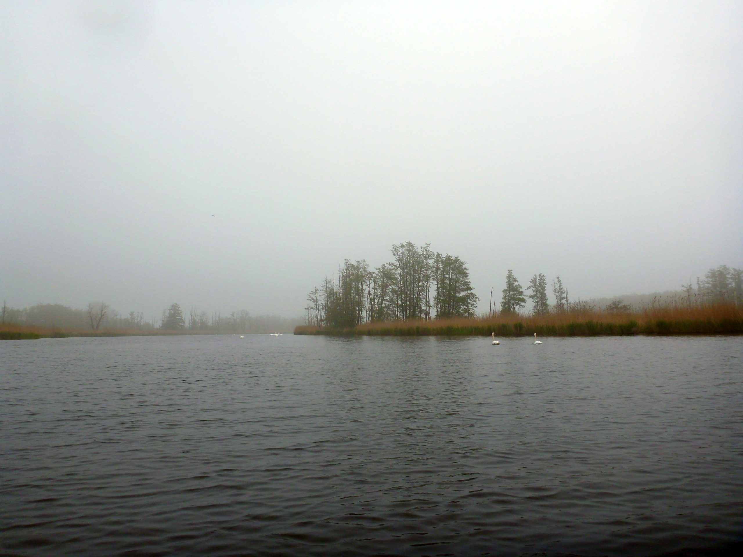 Demmin-Peene-Loitz-039