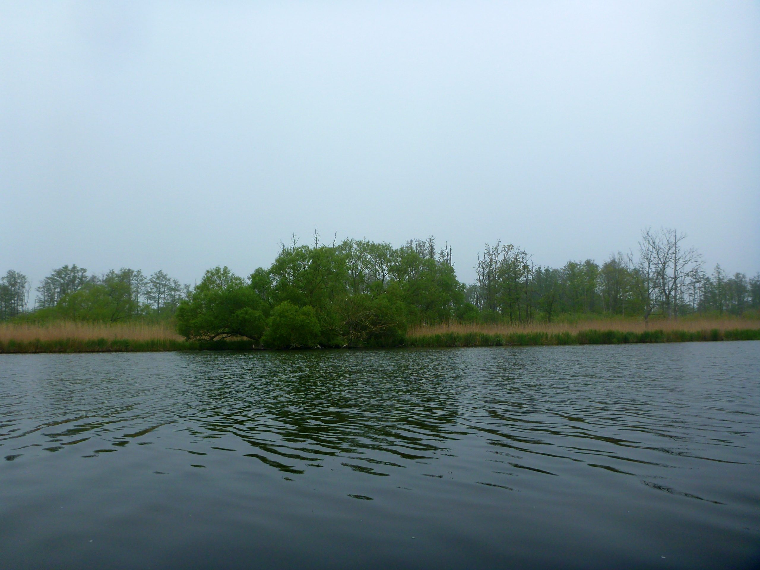 Demmin-Peene-Loitz-041