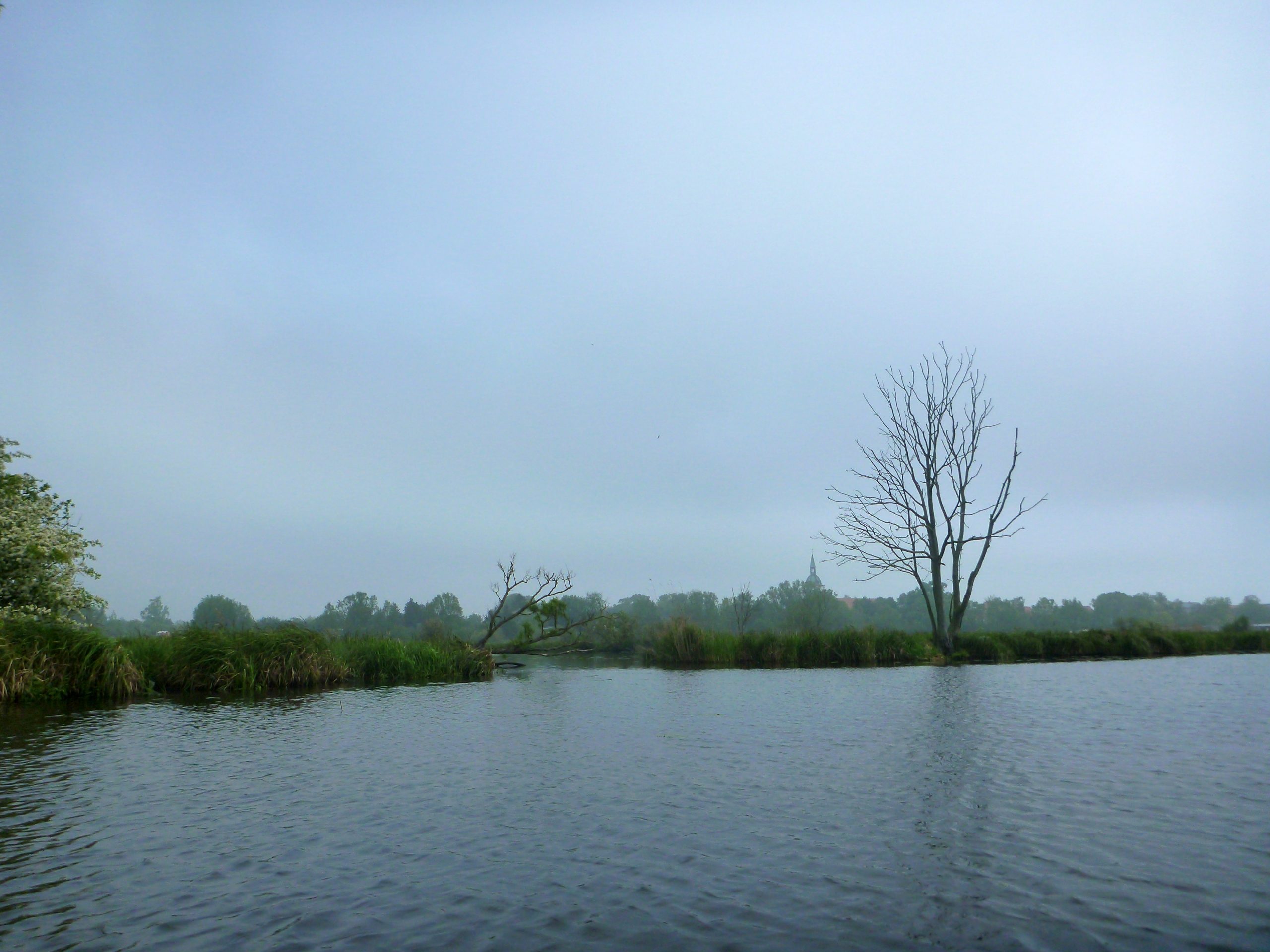 Demmin-Peene-Loitz-046