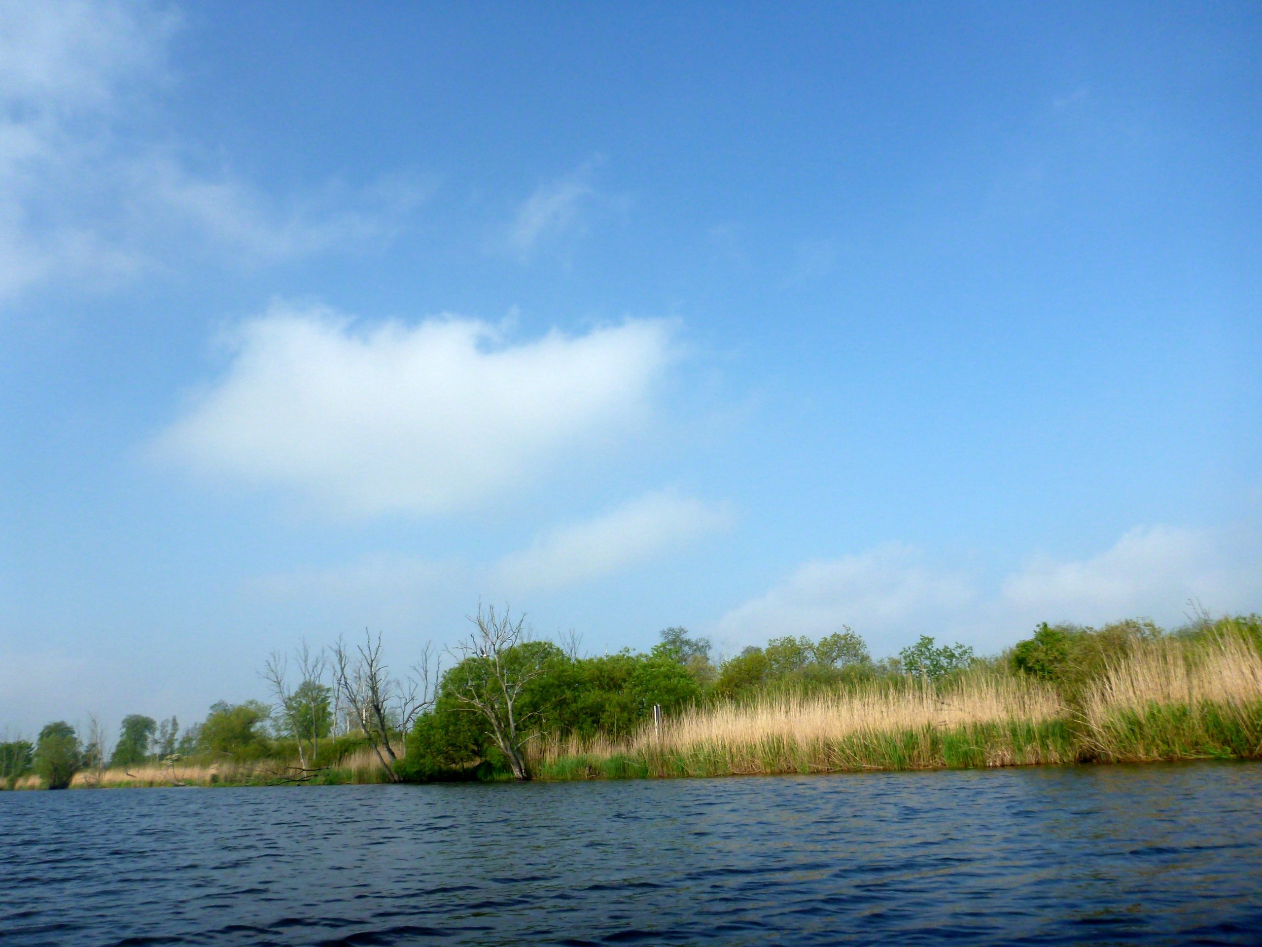 Demmin-Peene-Loitz-063