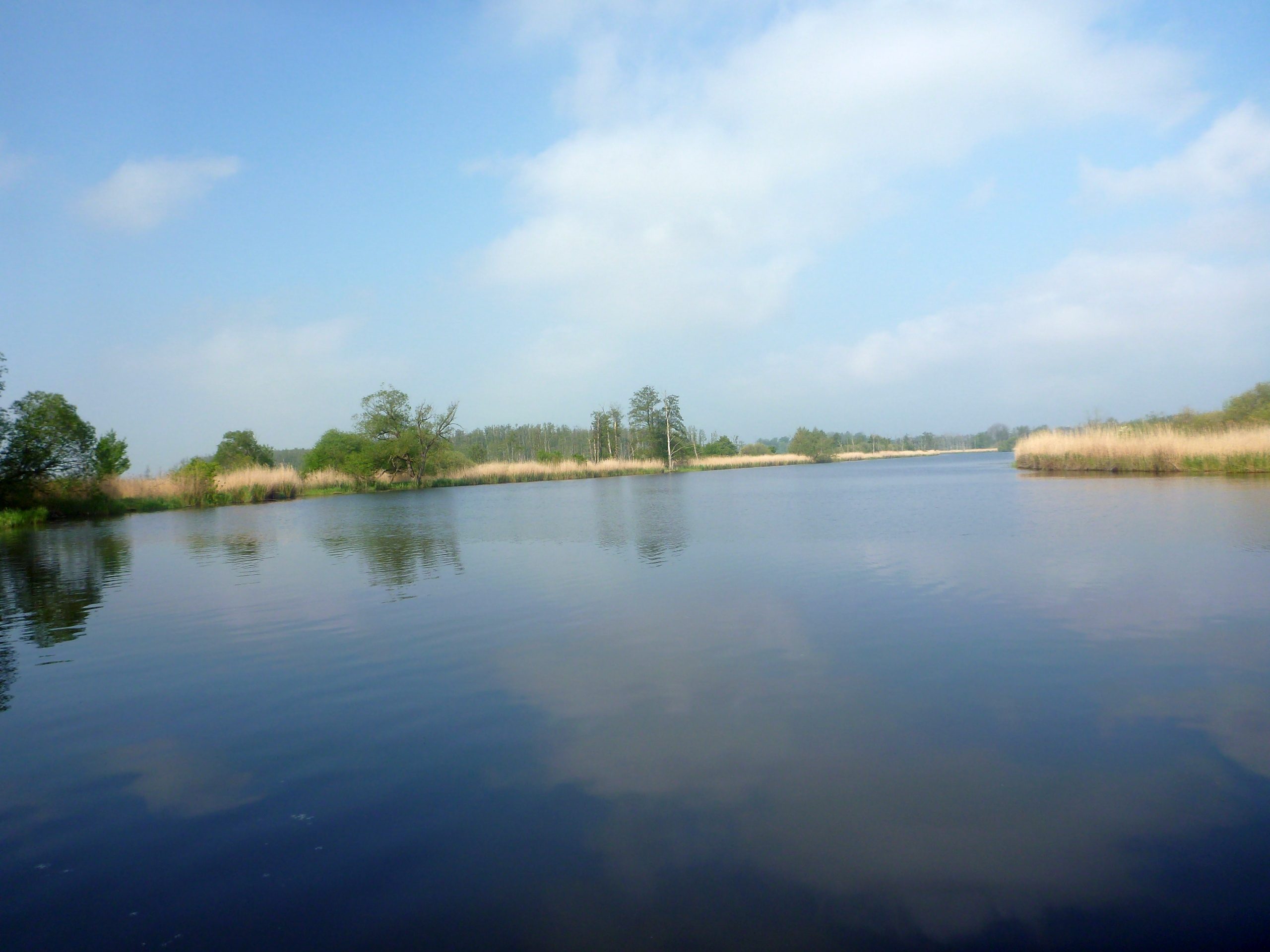 Demmin-Peene-Loitz-064