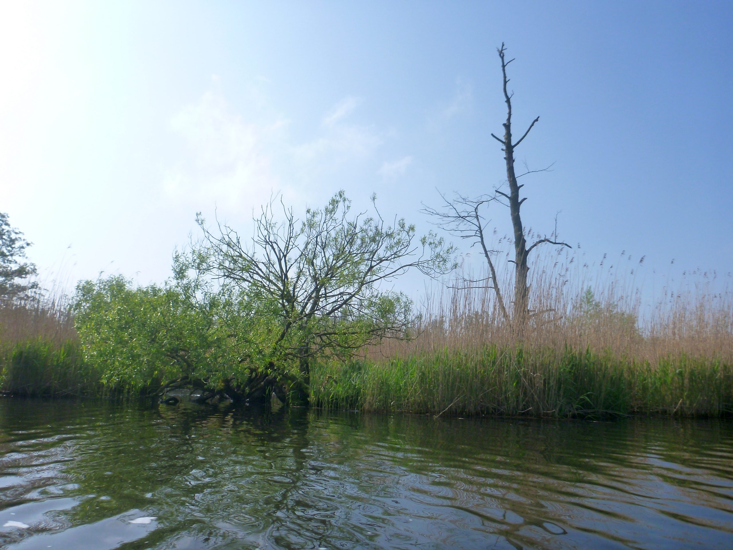 Demmin-Peene-Loitz-067