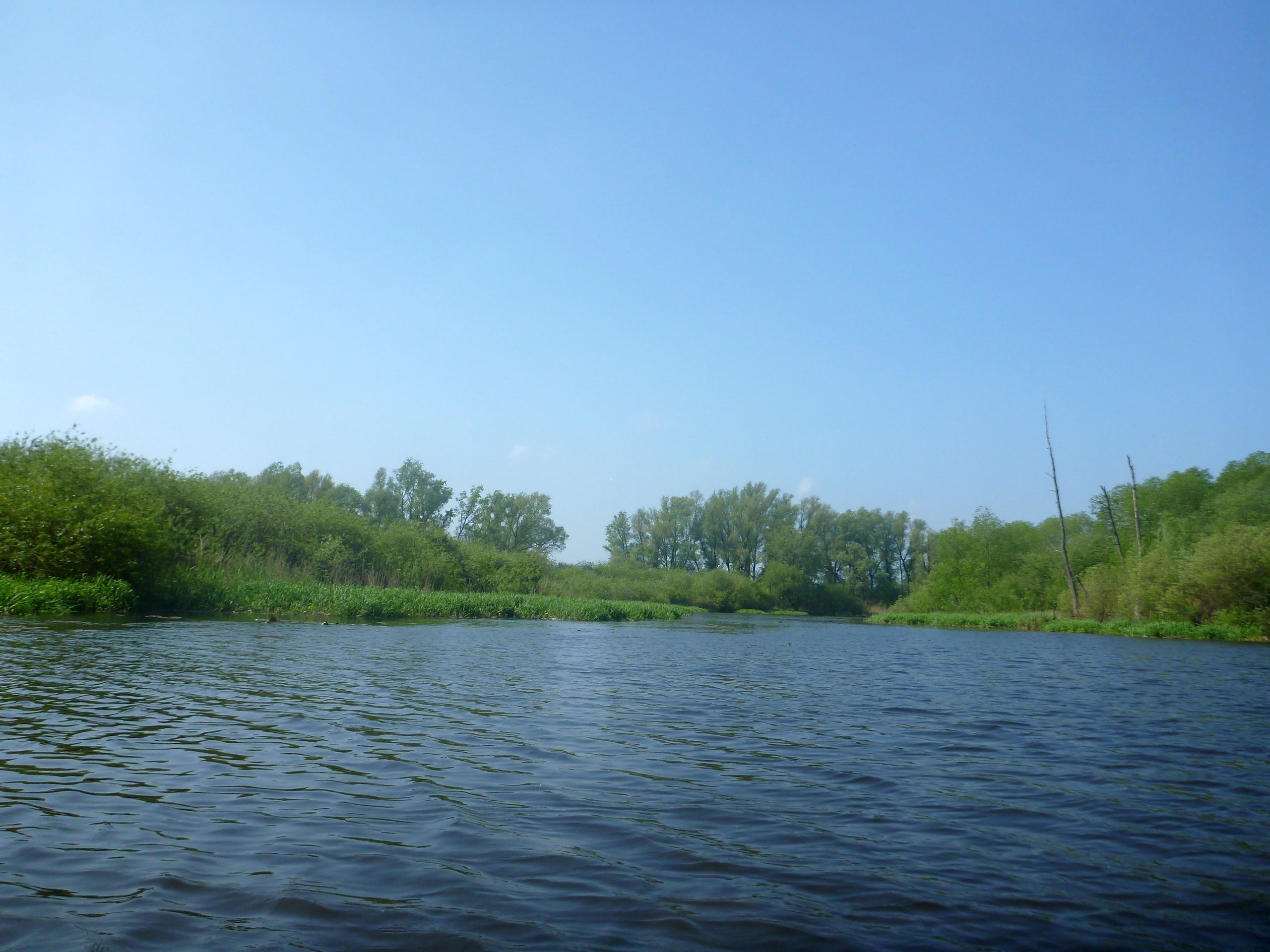 Demmin-Peene-Loitz-084