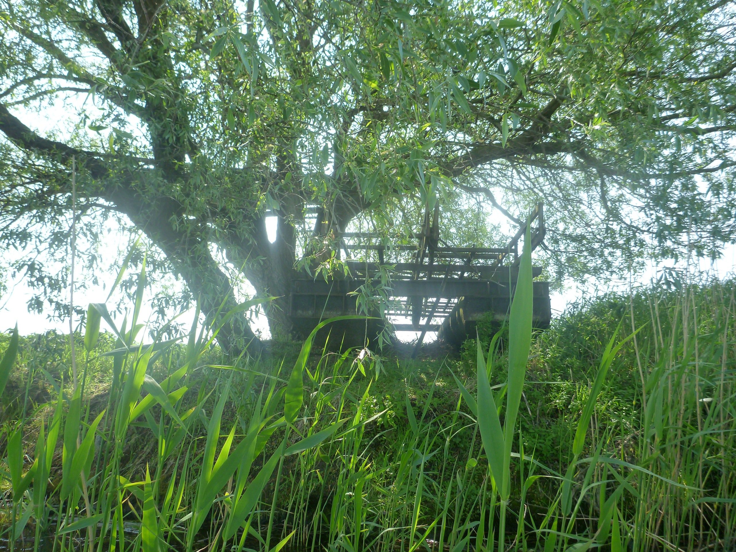 Demmin-Peene-Loitz-087