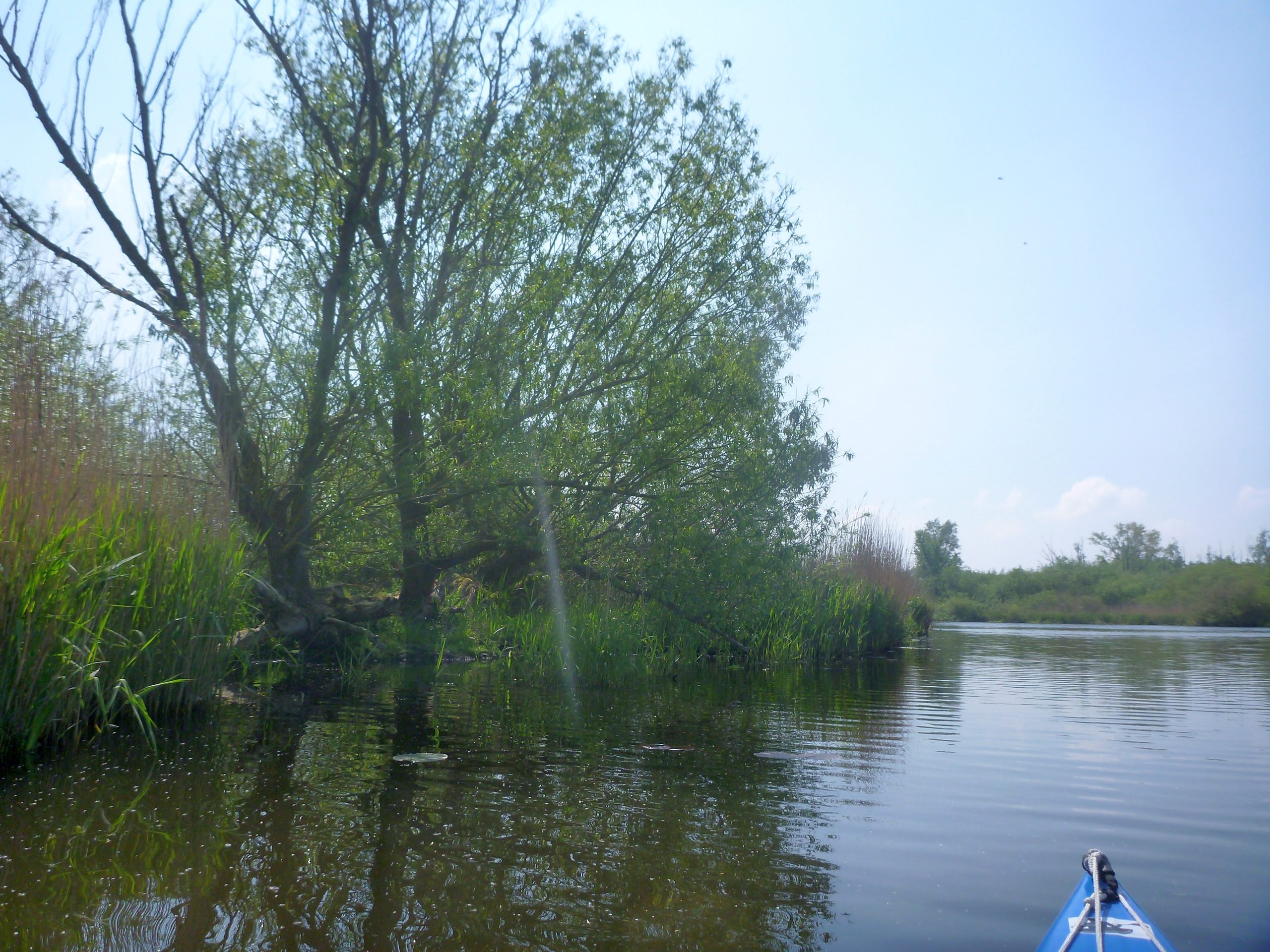 Demmin-Peene-Loitz-088