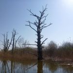 eiskanal-malchiner-kummerower-see-2018-153