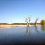 eiskanal-malchiner-kummerower-see-2018-179