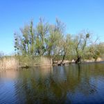 eiskanal-malchiner-kummerower-see-2018-181