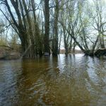 eiskanal-malchiner-kummerower-see-2018-183