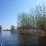 eiskanal-malchiner-kummerower-see-2018-186