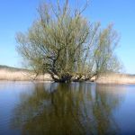 eiskanal-malchiner-kummerower-see-2018-190