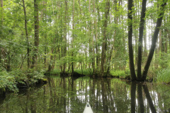 IMG-20210708-WA0011