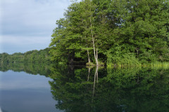 P1000611