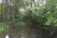 P1000623