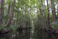 P1000624