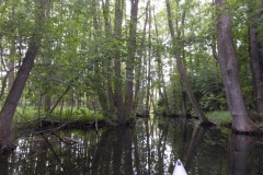 P1000625