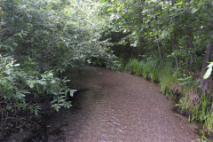 P1000635