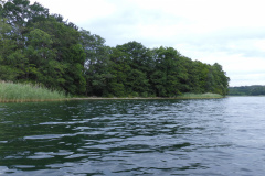 P1000641