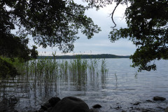 P1000650