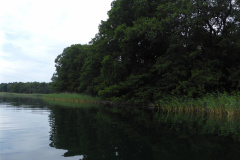 P1000655