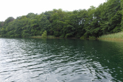 P1000657