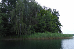 P1000660