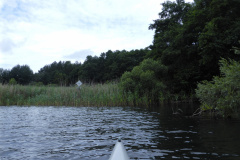 P1000666