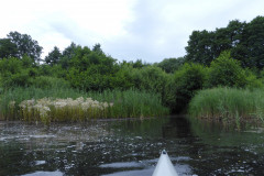 P1000668