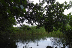 P1000672