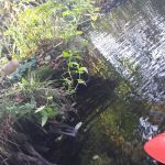 Geocaching 002