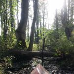 Geocaching 003