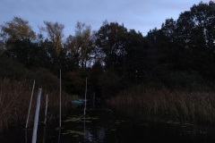 IMG20221027073254