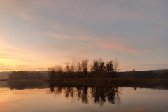 IMG20221027074419