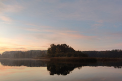 IMG20221027074750