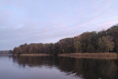 IMG20221027074759