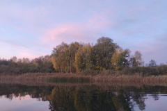 IMG20221027075002