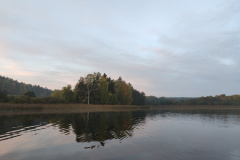 IMG20221027075707