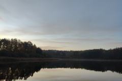 IMG20221027080334