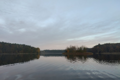 IMG20221027080345