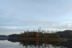 IMG20221027080655